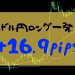 【FXトレード】ドル円ロングで＋16.9PIPSの利益【2019年07月29日】